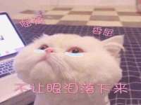 淮安风之帆网络科技有限公司