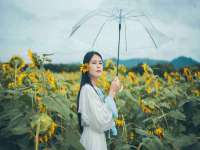 淮安风之帆网络科技有限公司