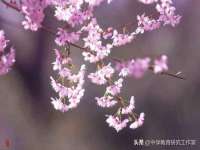 淮安风之帆网络科技有限公司