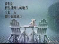 淮安风之帆网络科技有限公司