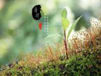 淮安风之帆网络科技有限公司