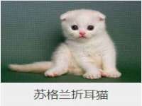 淮安风之帆网络科技有限公司