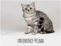 淮安风之帆网络科技有限公司