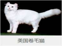 淮安风之帆网络科技有限公司