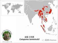 淮安风之帆网络科技有限公司