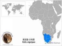 淮安风之帆网络科技有限公司