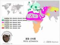 淮安风之帆网络科技有限公司