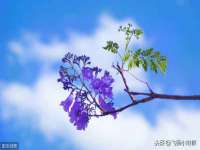 淮安风之帆网络科技有限公司