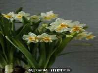 淮安风之帆网络科技有限公司