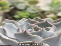 淮安风之帆网络科技有限公司