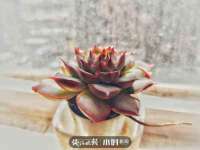 淮安风之帆网络科技有限公司