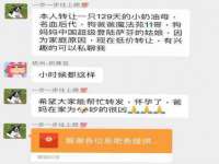淮安风之帆网络科技有限公司