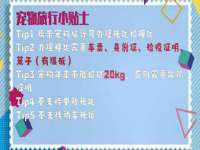 淮安风之帆网络科技有限公司