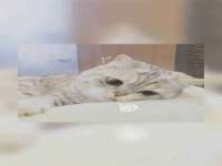 淮安风之帆网络科技有限公司