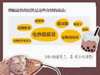 淮安风之帆网络科技有限公司