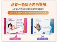 淮安风之帆网络科技有限公司