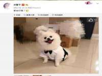 淮安风之帆网络科技有限公司