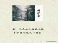 淮安风之帆网络科技有限公司