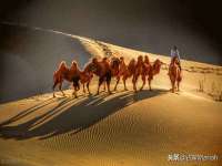 淮安风之帆网络科技有限公司
