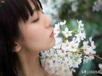 淮安风之帆网络科技有限公司