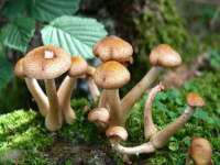 淮安风之帆网络科技有限公司