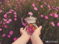 淮安风之帆网络科技有限公司