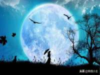 淮安风之帆网络科技有限公司