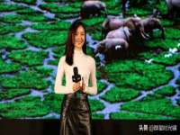 淮安风之帆网络科技有限公司