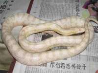 淮安风之帆网络科技有限公司